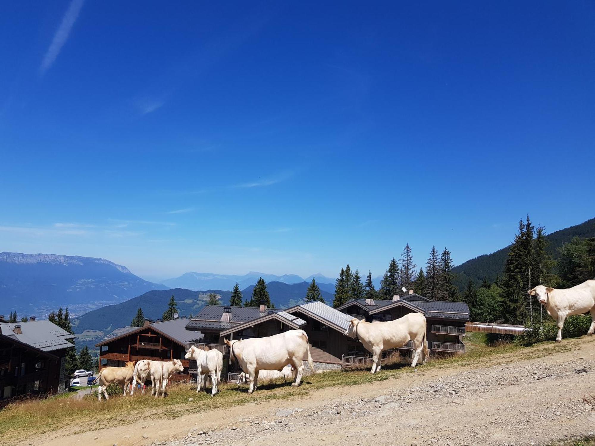 Les 7 Laux Immobilier Chalet E Прапутел Екстериор снимка