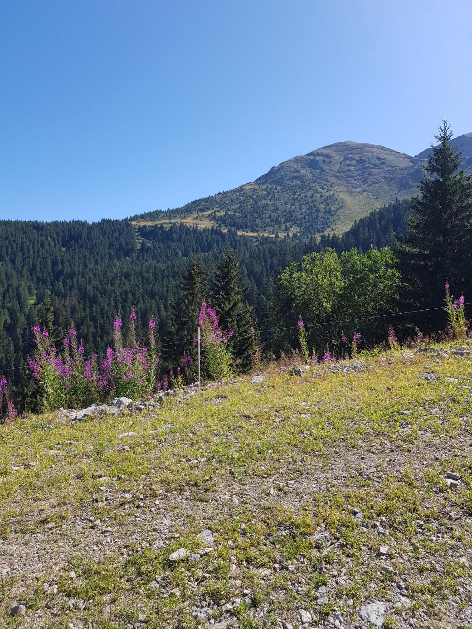 Les 7 Laux Immobilier Chalet E Прапутел Екстериор снимка